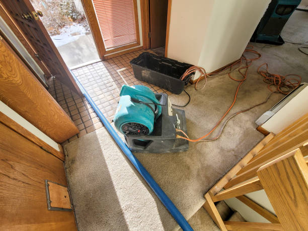 Best Water damage restoration insurance claims  in Pinedale, WY