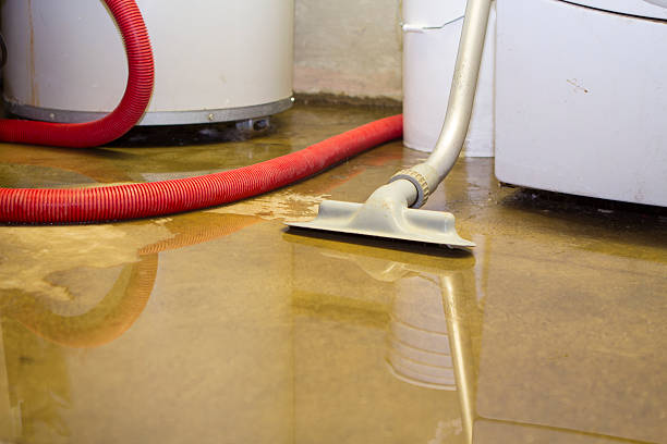 Best Water damage cleanup near me  in Pinedale, WY
